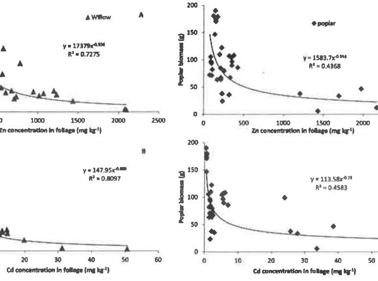 Figure 2 Effect of foliage Zn and Cd concentration, in willow (A, B) and poplar (C, D), on whole-trees dry biomass production (n = 6).