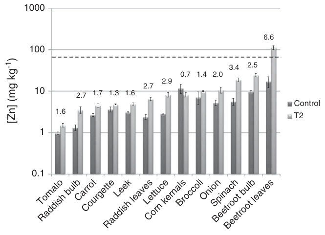 Fig. 1. Average Zn concentrations (mg kg−1 fresh weight) and standard errors of the control (a silt loam soil) and the T2 (biosolids+biochar) treatment (n=5) of the edible portions of the vegetables. The numbers above th