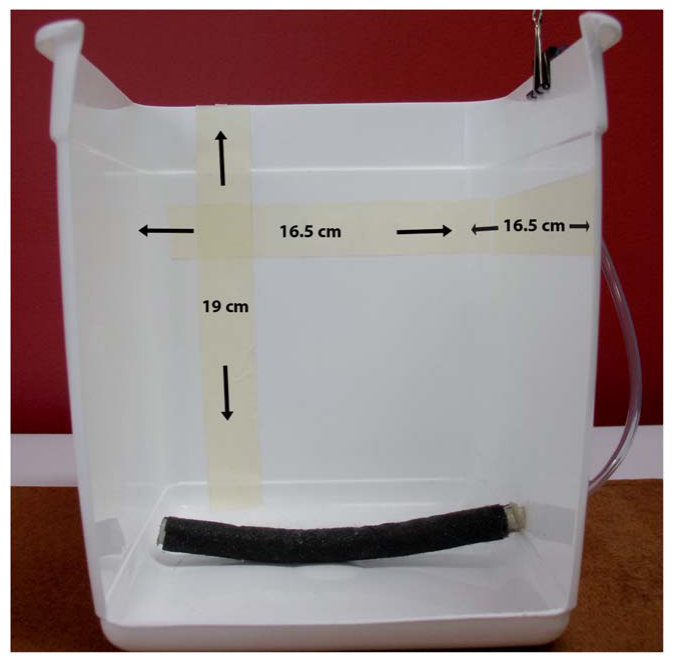 Fig. 1 Image of the pot designed to model flood irrigation.