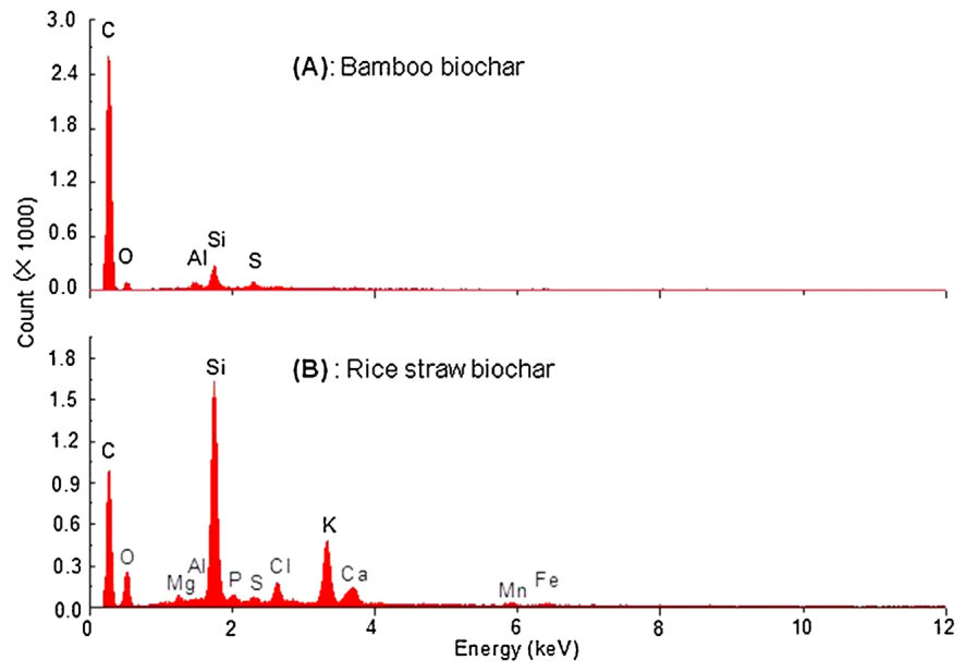 Fig. 1. The energy dispersive X-ray spectra (EDS) collected from the scanning electron microscopy (SEM) regions of bamboo (A) and rice straw (B) biochars.