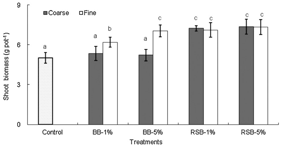Fig. 3. Effect of biochar application on the shoot dry matter weight of Sedum plumbizincicola. Treatments: Control, 1 and 5% bamboo biochar (BB), rice straw biochar (RSB) with two mesh sizes (coarse and fine). Error bars