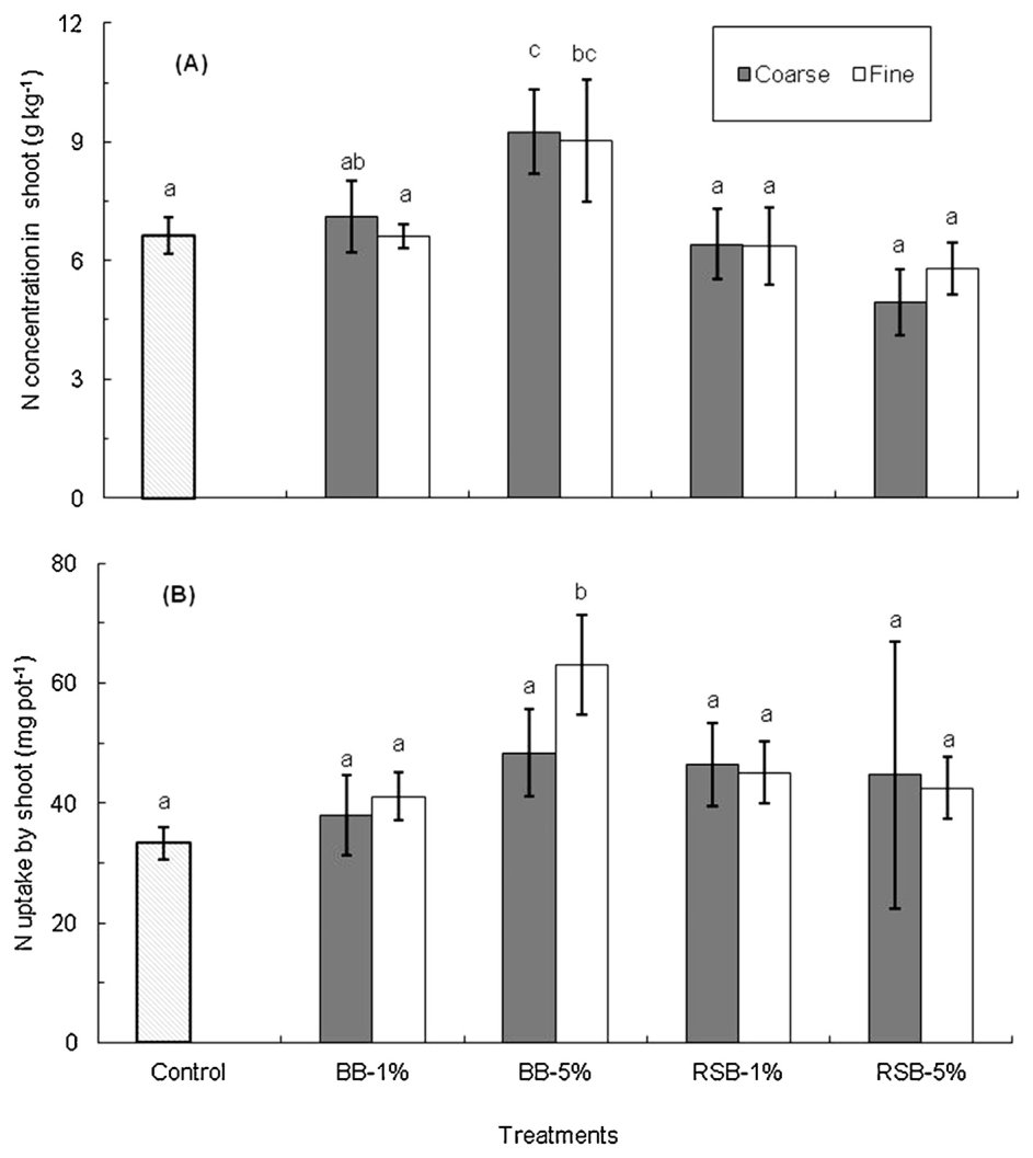 Fig. 4. Effect of biochar application on N concentration (A) and total N uptake (B) in the shoots of Sedum plumbizincicola. Treatments: Control, 1 and 5% bamboo biochar (BB), rice straw biochar (RSB) with two mesh sizes