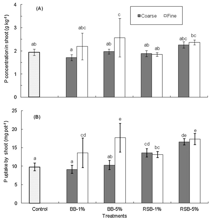 Fig. 5. Effect of biochar application on P concentration (A) and total P uptake (B) in the shoots of Sedum plumbizincicola. Treatments: Control, 1 and 5% bamboo biochar (BB), rice straw biochar (RSB) with two mesh sizes