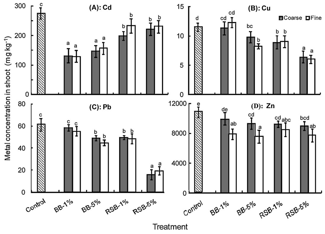 Fig. 7. Effect of bamboo and rice straw biochars on concentrations of Cd (A), Cu (B), Pb (C) and Zn (D) in the shoot of Sedum plumbizincicola. Treatments: Control, 1 and 5% bamboo biochar (BB), rice straw biochar (RSB) w