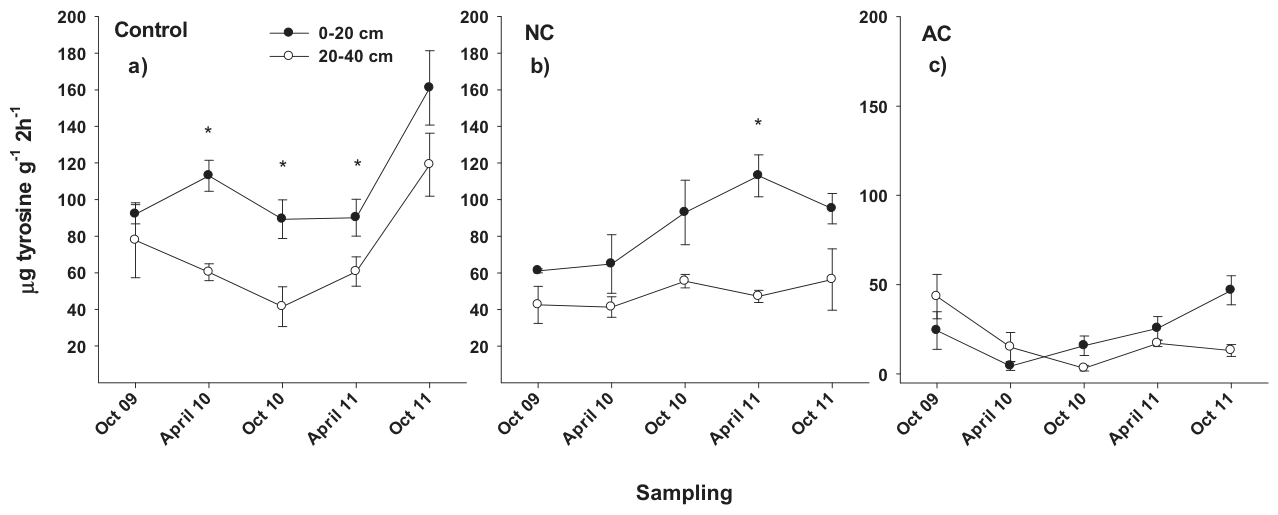 Fig. 6. Evolution in time of protease activity in the three studied soils and at two different depths (0e20 cm and 20e40 cm). Mean values � standard error (n = 3). Significant differences between depths for each soil and