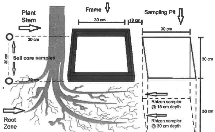 Figure 2 Diagram showing locations of the soil core sampling, wooden frame to contain the slurry application, and positions of the rhizon samplers within the sampling pit.
