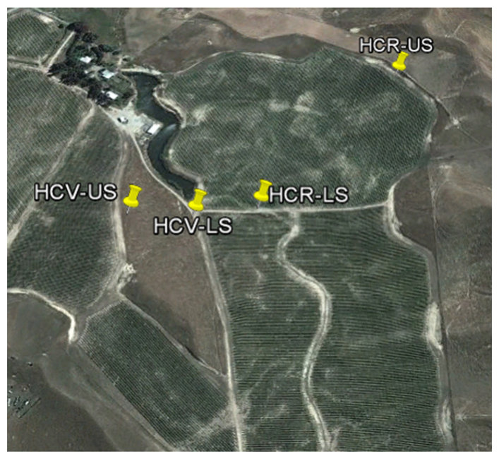 Fig. 5. Hardcase pit locations. Image © DigitalGlobe 2013, from © Google Earth, 2013.