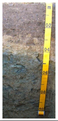 Figure from page 5 of the original article