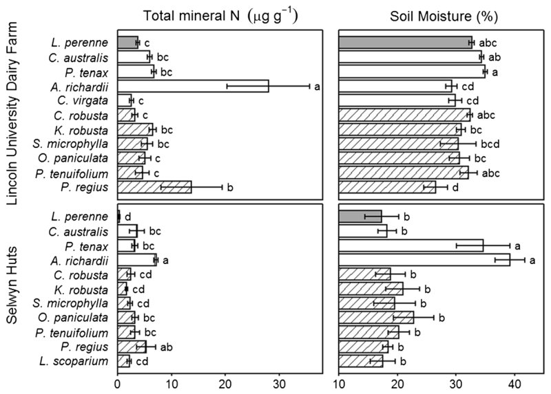 Fig. 4 Mean (±SE) total mineral N (NO3–N+NH4+−N) concentrations and soil moisture (%) in rhizosphere soil of native species (white, dicotyledons; cross-hatched, monocotyledons) and L. perenne (grey) at the Lincoln Univer