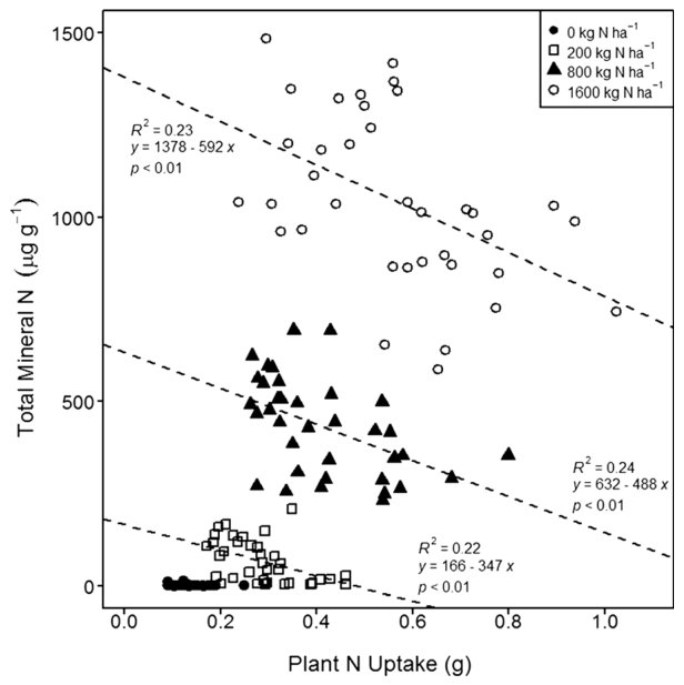 Fig. 6 The relationship between N uptake (above-ground) and concentration of soil mineral N in the glasshouse trial (native species and L. perenne). Regression lines, equations, R2 and p values are shown for each N appli