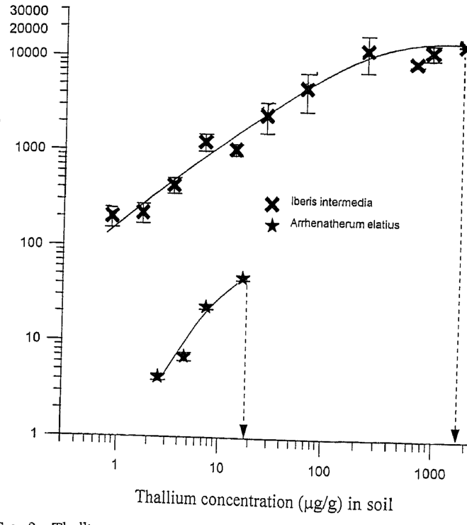 FIG. 3. Thallium concentrations in whole plants grown in artificial soils with different TI concentrations (extractable fractions). Perpendicular lines show the limits of tolerance.