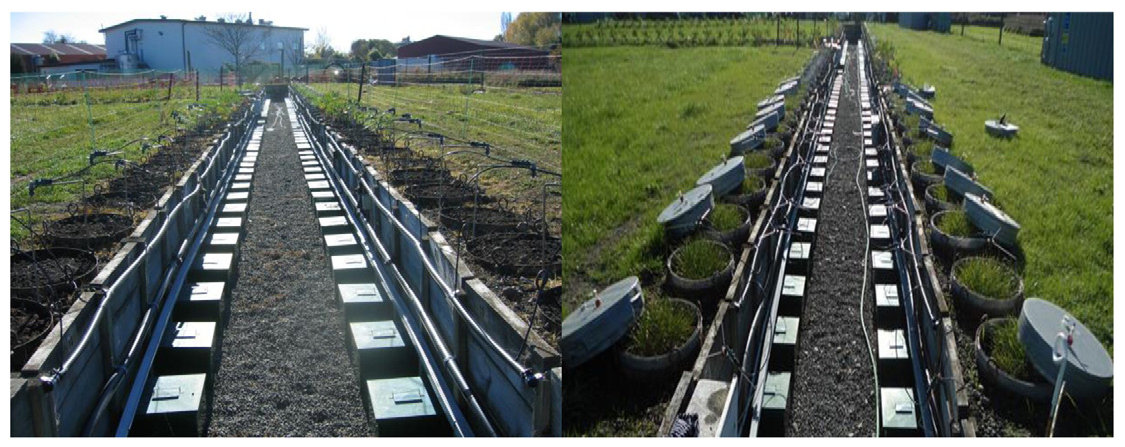Fig. 1. Left—Installation of lysimeters; Right: Gas chambers just before the gas collection.