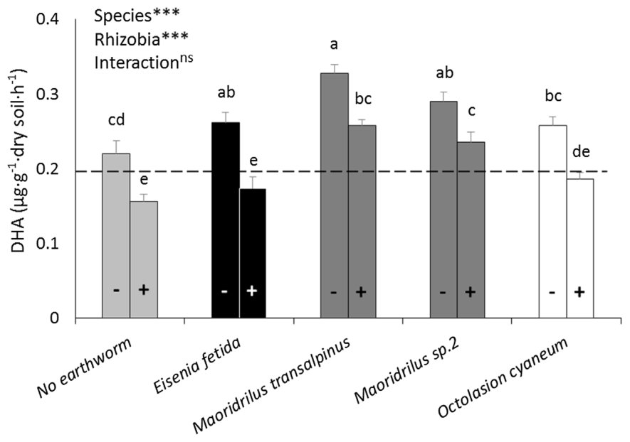 Fig. 4. Dehydrogenase enzyme activity (DHA) in soil after 8 weeks. Asterisks indicate Two-Way ANOVA analysis showing the effect of earthworm species, rhizobial inoculation, and interaction (***p < 0.001, ns = not signifi