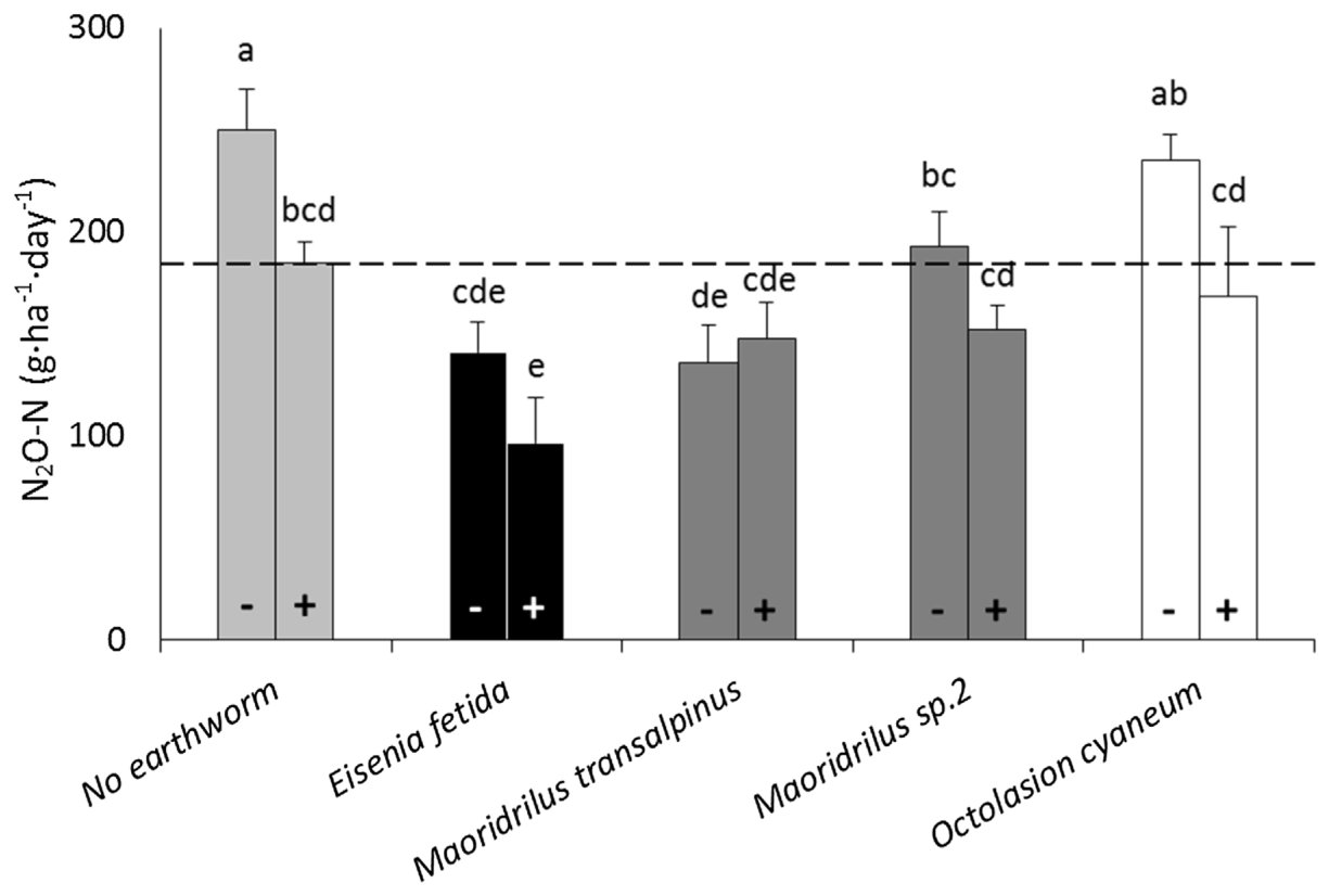 Fig. 5. Release of nitrous oxide (N2O) after 8 weeks. Symbols refer to rhizobia strain present (+) or absent (�). Bars are means � standard error (n = 5). Same letters indicate no significant difference (LSD, p < 0.05).
