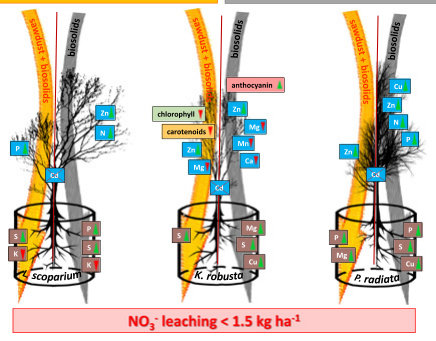 Figure from page 1 of the original article