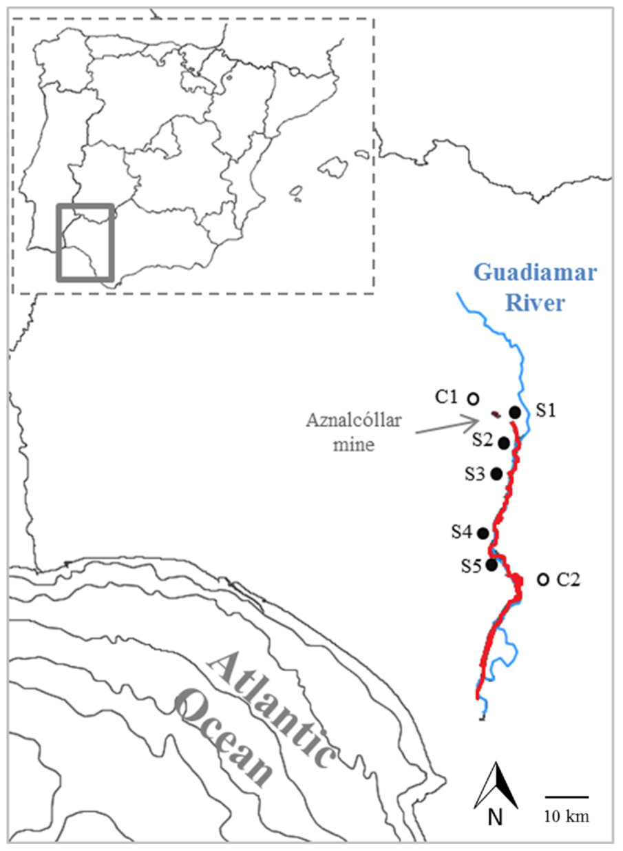 Fig 1. Map. Location of the seven sampling sites within the Guadiamar Basin, indicating the area affected by the mine spill in red.