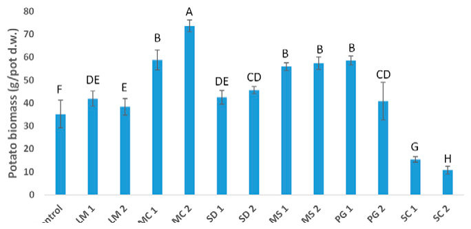 Fig. 3. Tuber biomass (including skins). Bars represent sem (n = 3). values with the same letters are not significantly different.