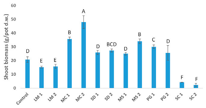 Fig. 4. shoot biomass (dry weight [d.w.]). Bars represent sem (n = 3). values with the same letters are not significantly different.