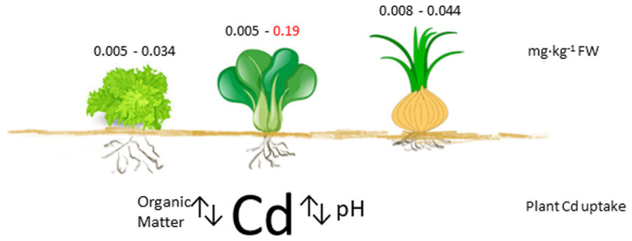 Figure from page 1 of the original article
