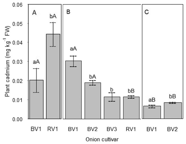 Fig. 2. Cadmium concentration in onion cultivars (mg∙kg−1 FW) from (A) Pukekohe, (B) Waikato and (C) Canterbury. Mean (n = 4) and standard error indicated by the same lower case letter are not significantly different (P