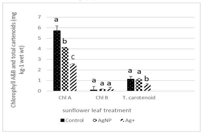 Figure 4. Sunflower leaf vitamin A and E in plants grown in soil containing 150 mg Ag/kg as AgNPs and Ag+(as AgNO3). Results are presented as mean ± SE of four replicates. Means with different letters on the bars are sig