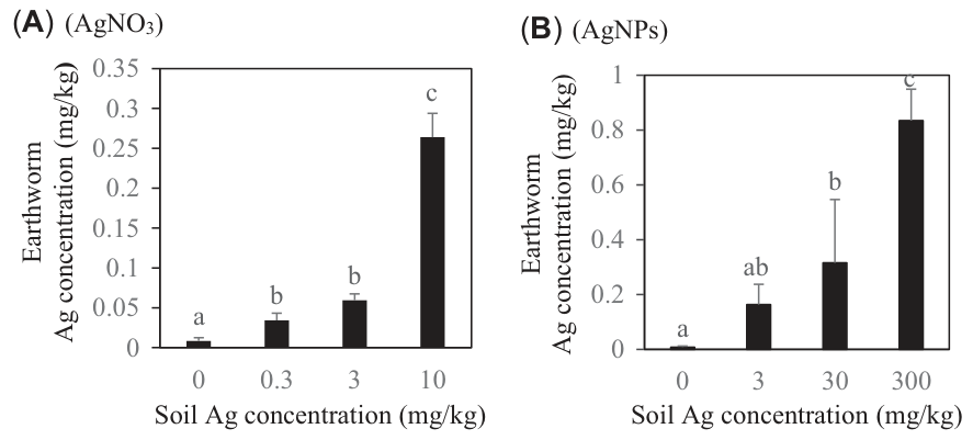 FIGURE 1: Silver concentration (mean ± standard error of the mean) in Aporrectodea caliginosa (n = 5) homogenates exposed to (A) Ag+ as AgNO3 (0, 0.3, 3, and 10 mg/kg), and (B) Ag nanoparticles (NPs; 0, 3, 30, and 300 mg