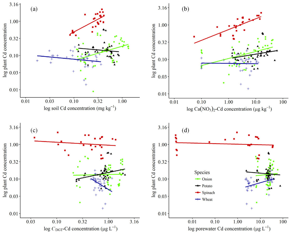 Fig. 2. Relationships between plant Cd (mg kg–1 DW) and (a) soil pseudo-total Cd concentration, (b) 0.05 M Ca(NO3)2-extractable Cd, (c) DGT-extractable Cd and (d) soil Cd concentration in soil porewater. The equations an
