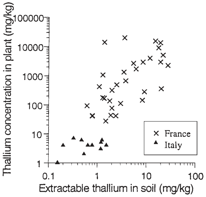 FIGURE 2. Uptake of thallium by Biscutella laevigata as a function of the extractable (1 M ammonium acetate) total thallium concentration in the soil.