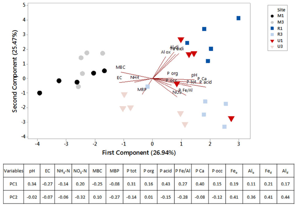 FIGURE 4 Principal component analysis of soil properties in surface soils at Transect 1 (older) and 3 (younger). Where M, mature forest plot; R, restoration plot; and U, unplanted grassland plot [Colour figure can be vie