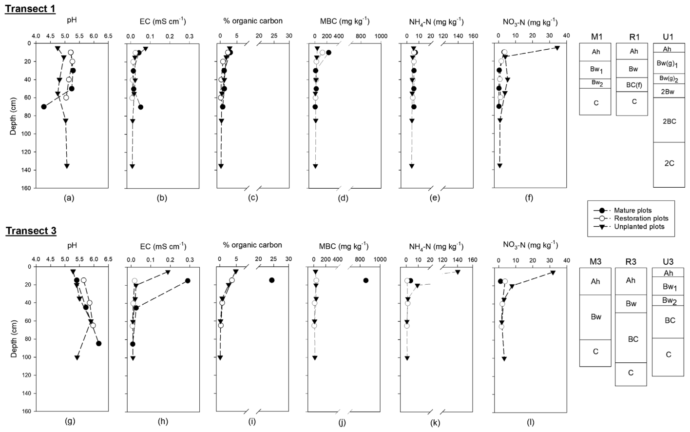 FIGURE 5 Selected profile soil chemical properties in Mature ( ), Restored ( ) and Unplanted ( ) plots at Transect 1 and 3. Where '1' plots are the older transect and '3' plots are the younger transect; where M, mature f