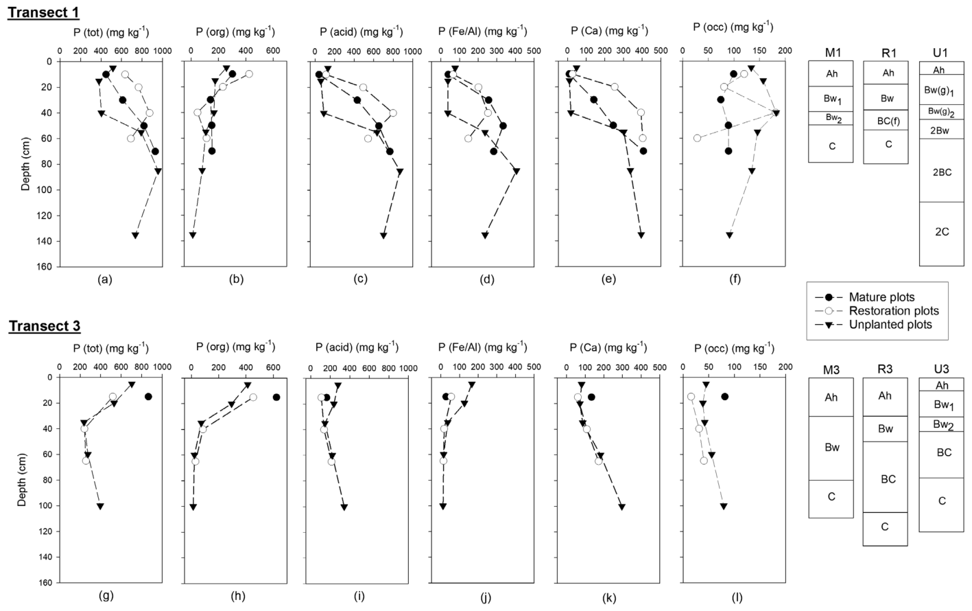 FIGURE 6 Profile soil phosphorus fractionations in Mature ( ), Restored ( ) and Unplanted ( ) plots at Transect 1 and 3. Where '1' plots are the older transect and '3' plots are the younger transect; where M, mature fore