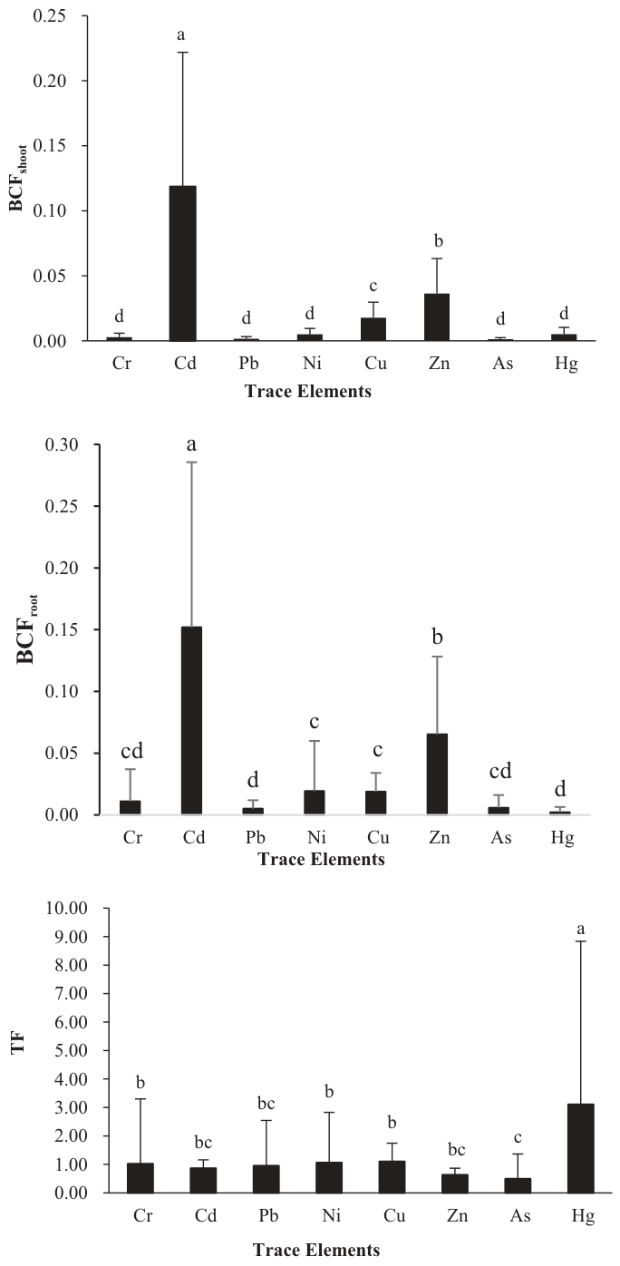 Figure 2. The bioconcentration factor (BCF) for shoots (a) and roots (b) and transfer coefficient (TF) (c) of Brassica parachinensis for the eight trace elements. Bars with the same letter are not significantly different