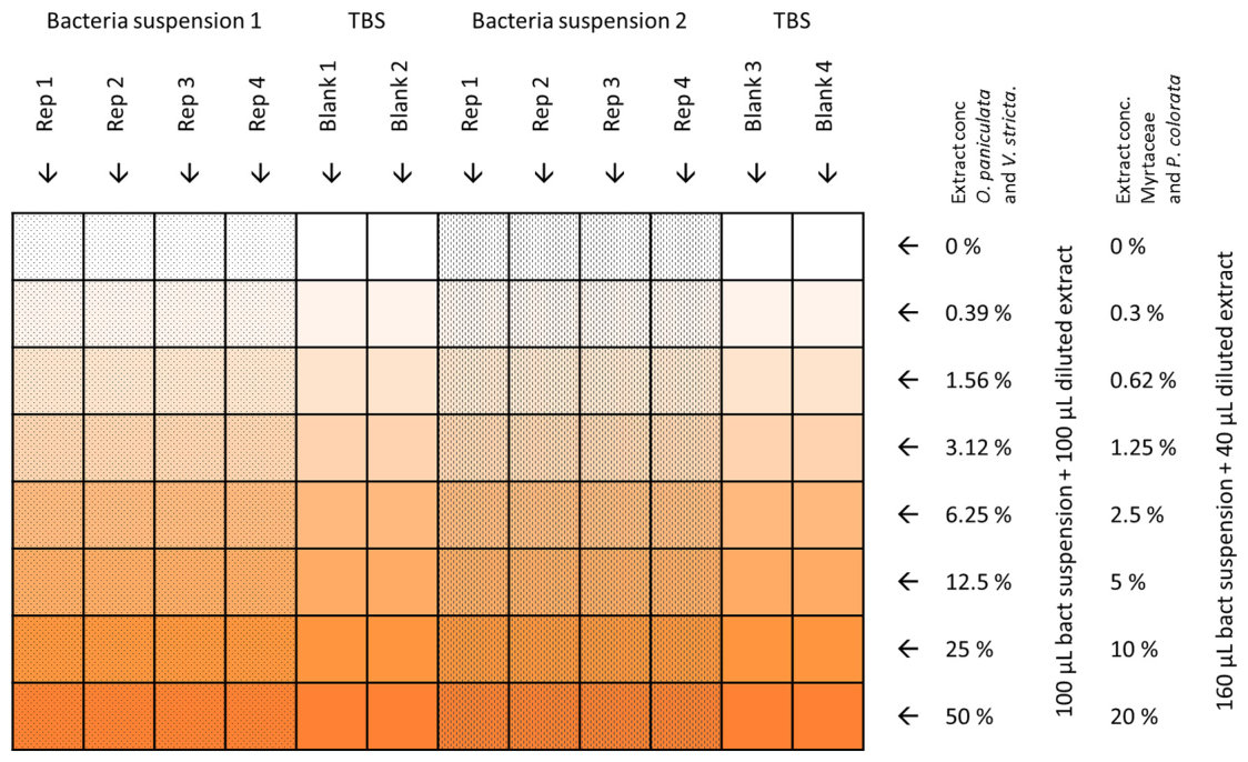 Fig. 1. Layout of the experiments in the 96-well plates.