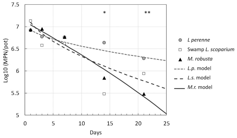 Fig. 4. Median and best fitted model of E. coli recovered from soil over time for each plant type. *Kruskal-Wallis test significance higher than 90%, **Kruskal-Wallis test significance higher than 95%.