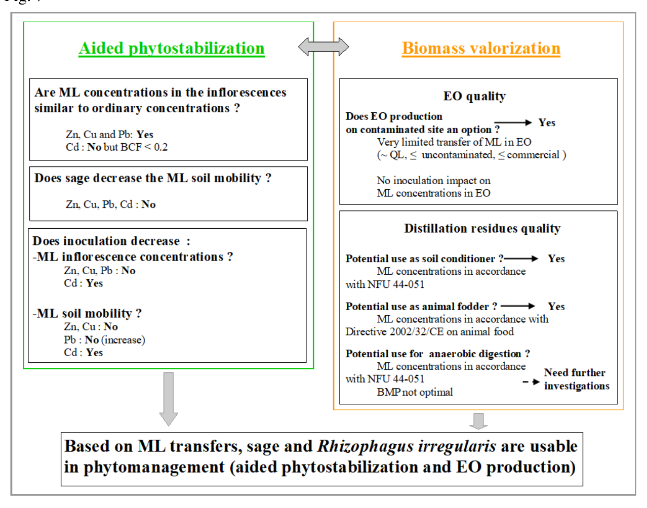 Figure from page 46 of the original article
