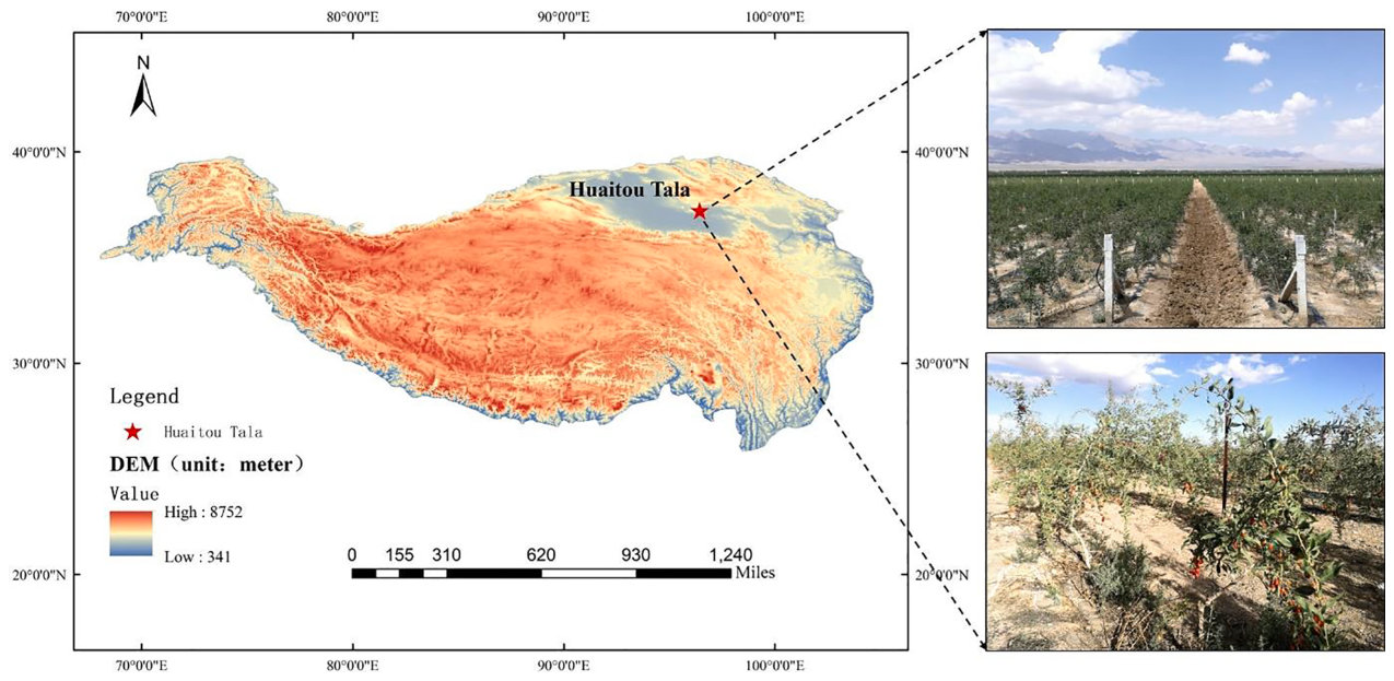 Fig. 1. Geographical location of the experimental site on the Tibetan Plateau.