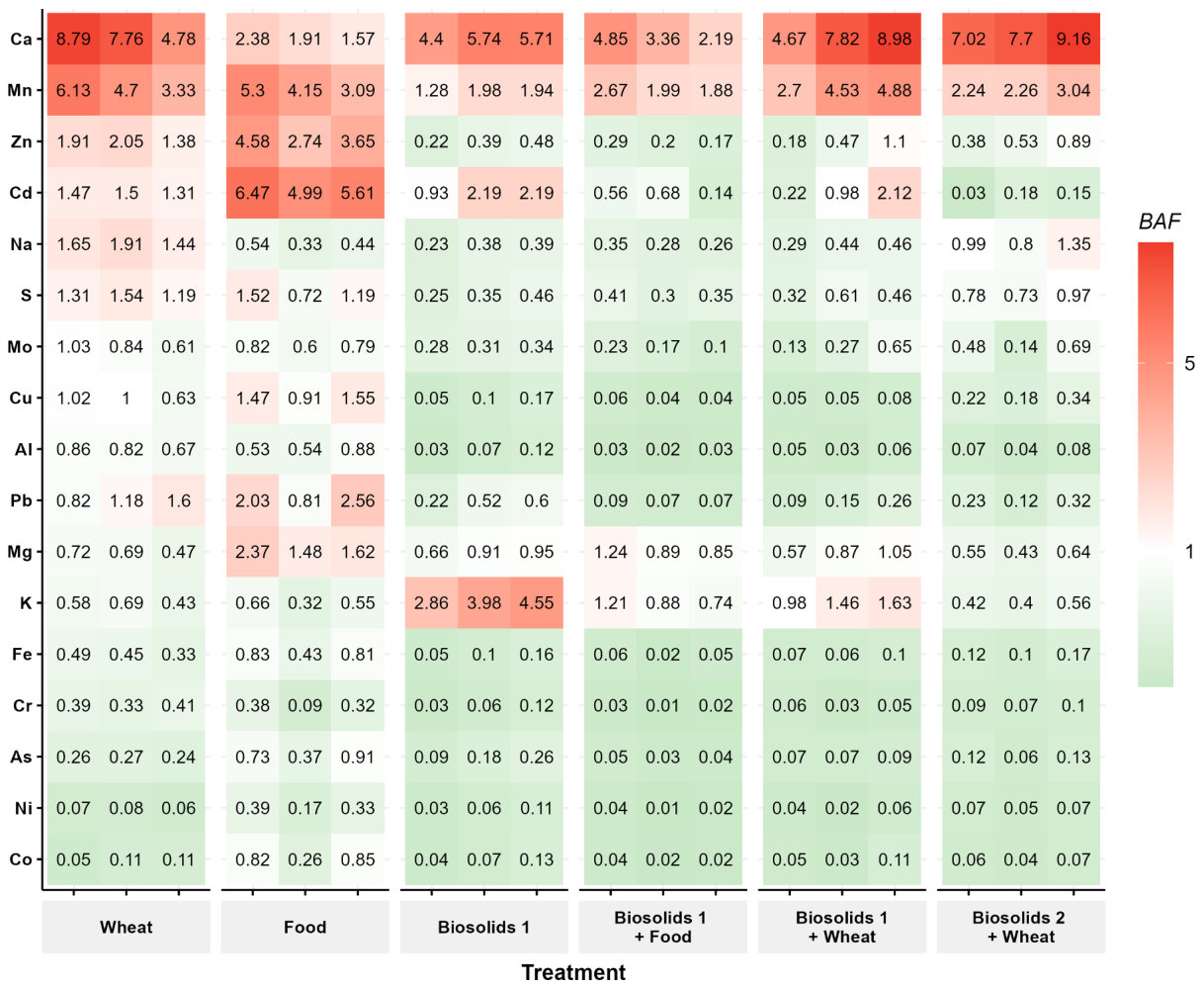 Fig. 3. Bioaccumulation factor (BAF) for macronutrients (Ca, K, Mg, Na, S), heavy metals, and non-essential elements (Al, As) in mature larvae for different treatments: wheat bran (Wheat), food waste (Food), dewatered sl