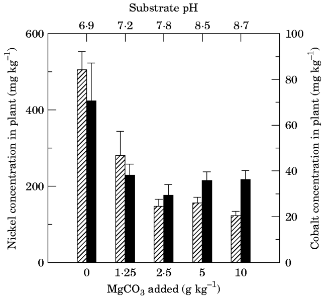 FIG. 1. Metal concentrations (Co, · ; Ni, 1) in Berkheva coddii after addition of magnesium carbonate to the substrate. Bars (n = 4) are s.e.m.