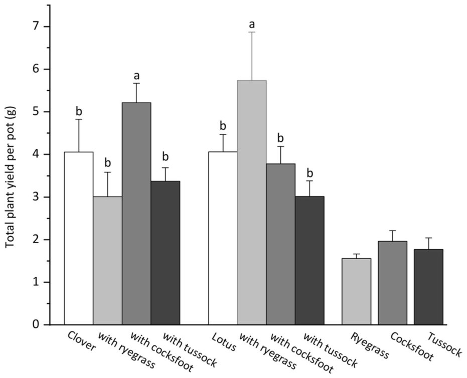 Fig. 2 Yield (g. dry wt. pot −1) of each species growing alone or in combination in the pot experiment after 4 months growth (Open bars show species growing alone. Shaded bars show clover and lotus yield when growing tog