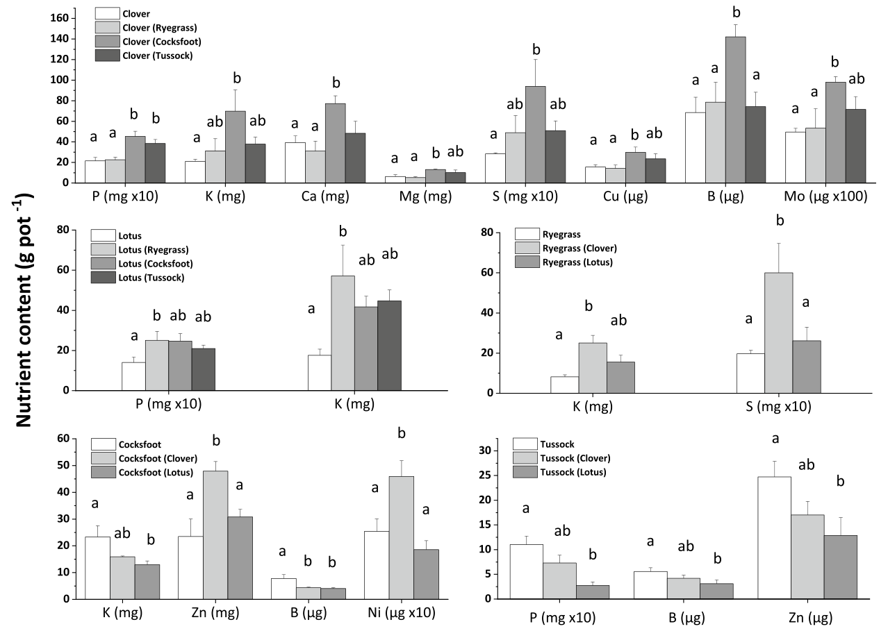 Fig. 3 Total foliar content of selected nutrients in legumes and grasses, growing either alone or with each other (companion species are shown in the keys in brackets)