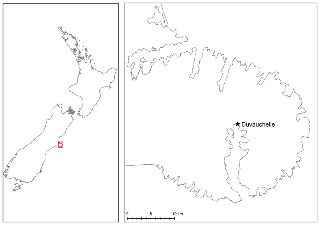 Fig. 1. Location of the field site in Duvauchelle, Banks Peninsula, on the east coast of the South Island of New Zealand.