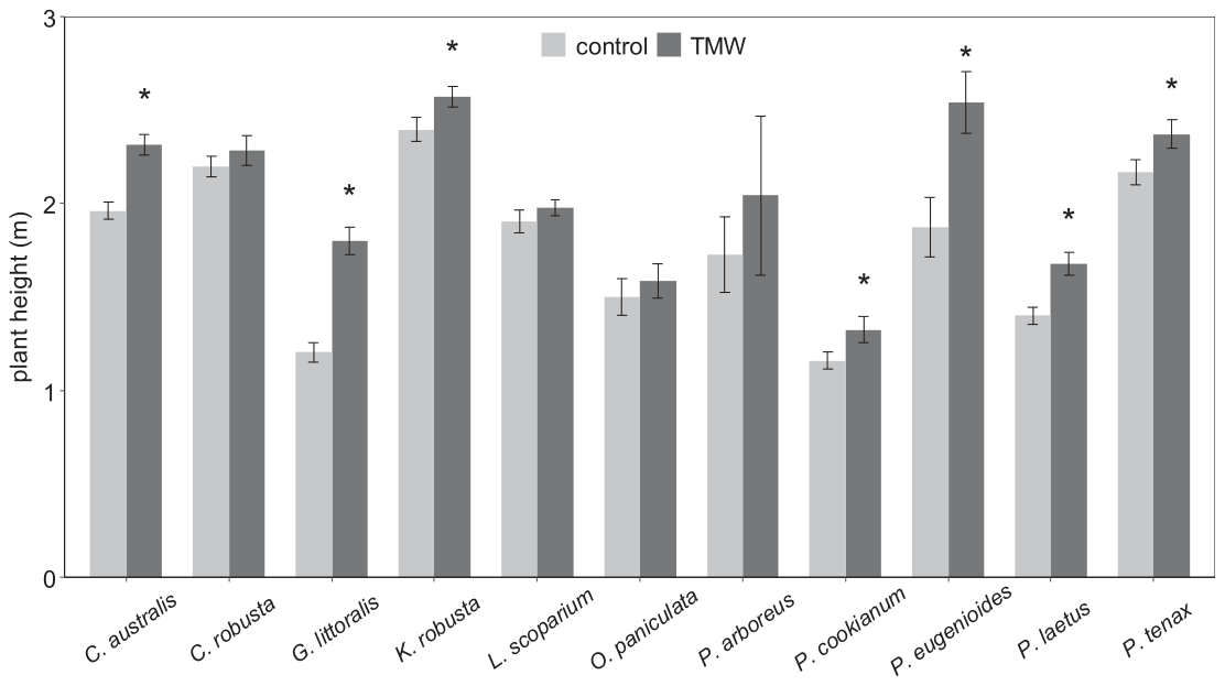 Fig. 3. Plant height at the site (4 years after establishment) by species, comparing plants growing in TMW irrigated plots and non-irrigated control plots. Bars show means and error bars show standard errors (n = 7–83).
