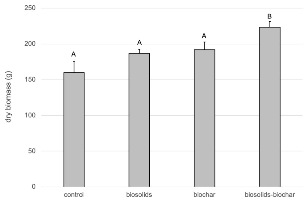 Figure 1. The total above-ground biomass (g dry matter) produced during the pot trial. Bars with the same letter are not significantly different. The error bars represent the standard error of the mean (n = 5).