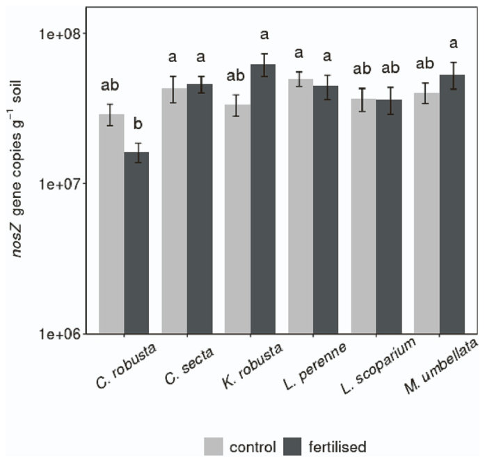 Fig. 1. Abundance of nosZ in the control and fertilised (NPKS) treatments by plant species. Values show means ± standard errors (n = 6). Different letters indicate significant differences between species and treatment co