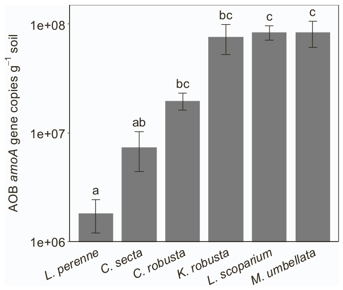 Fig. 2. Abundance of ammonia-oxidising bacteria (AOB) amoA in the fertilised (NPKS) treatment by plant species. Values show means ± standard errors (n = 6). Different letters indicate significant differences between spec