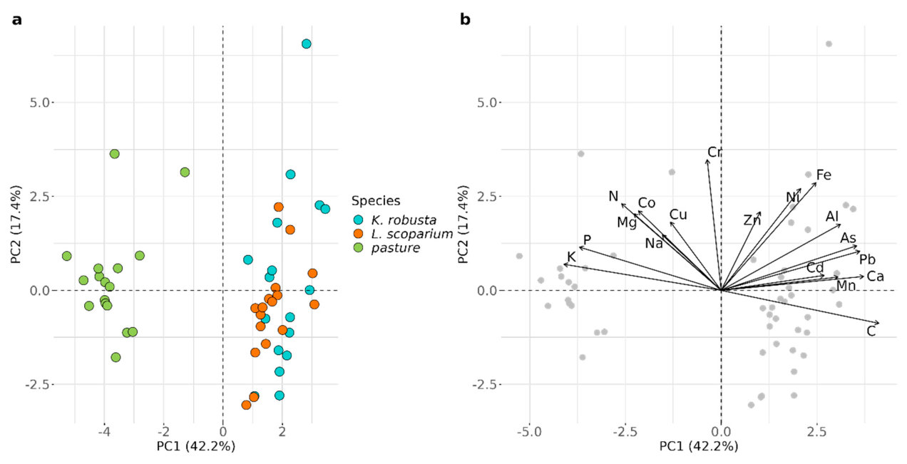Figure 1. Principal component analysis (PCA) of elemental concentrations in plant foliage; (a) score plot and (b) loading plot.