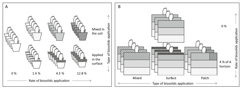Fig. 1 Design of the A pot and B rhizobox experiments. The shaded areas represent the location of biosolids in the pots and rhizoboxes, with darker shading representing a higher concentration of biosolids