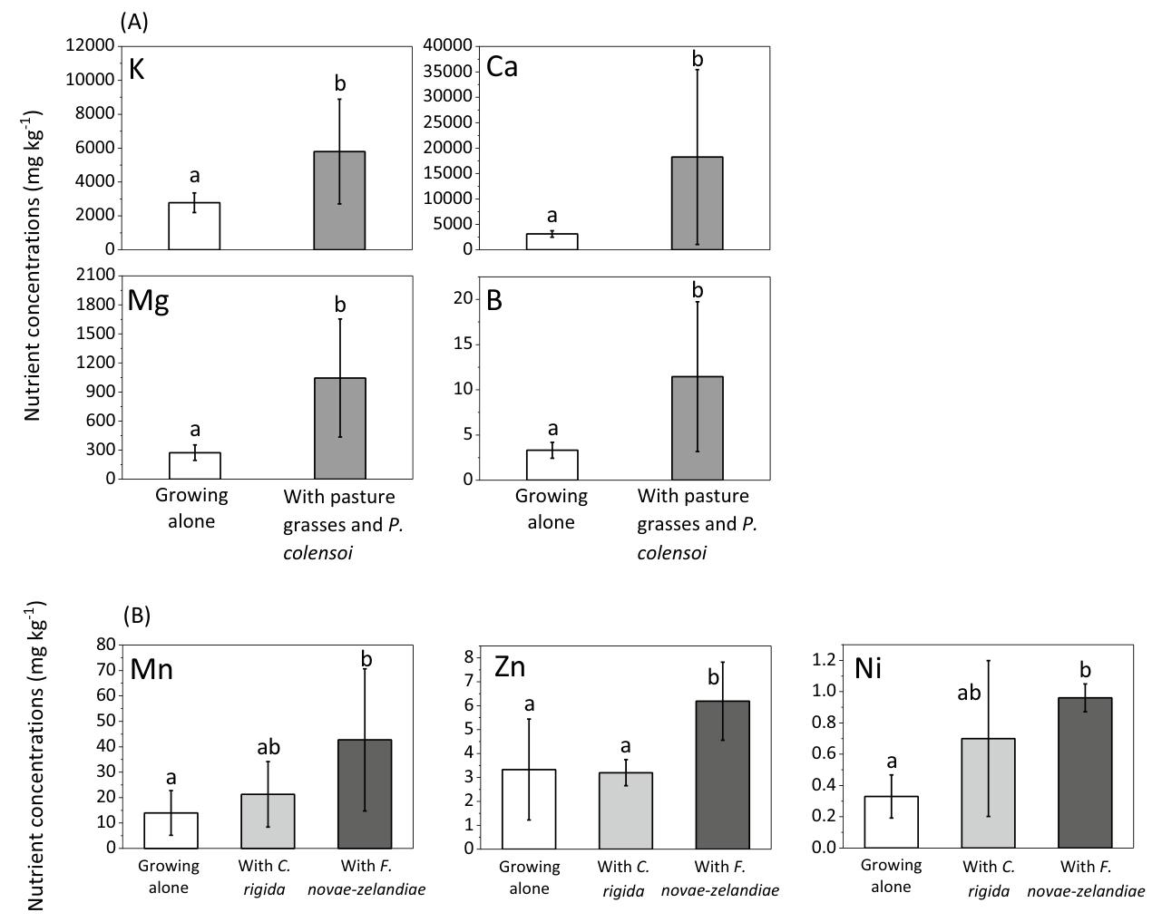 Fig. 3 Nutrient concentrations in green stems and foliage of broom (Carmichaelia petriei) and the four groups of grasses (pasture grasses, Poa colensoi, Chionochloa rigida and Festuca novae-zelandiae). Figure illustrates