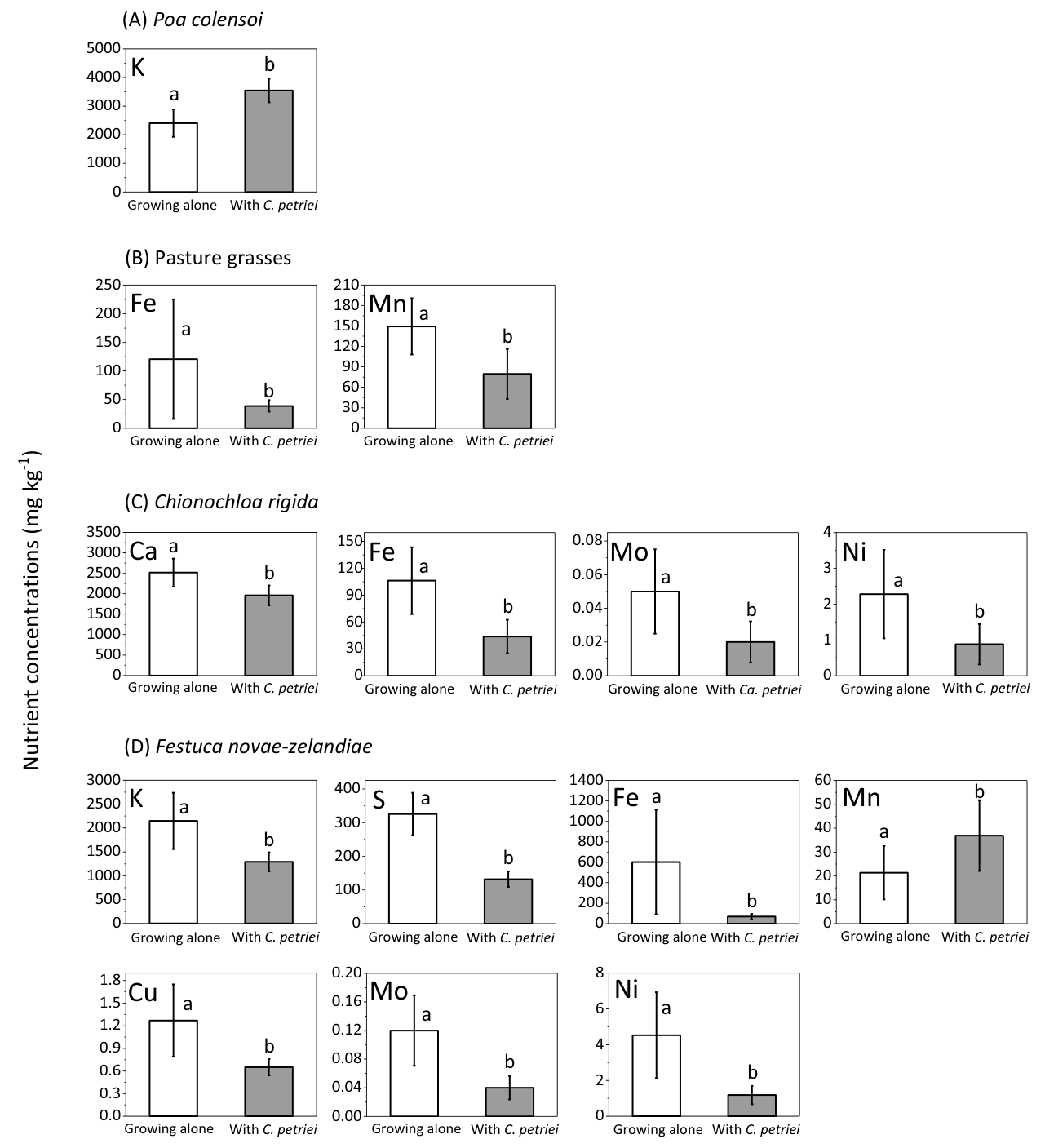 Fig. 4 Nutrient concentrations in foliage of the four groups of grasses, (A) Poa colensoi, (B) pasture grasses, (C) Chionochloa rigida, and (D) Festuca novae zelandiae according to whether they were growing alone or with