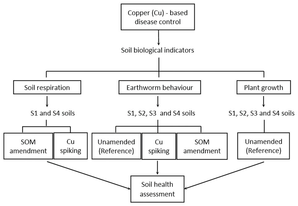 Fig. 1. Methodology outline using four soils (S1-S4) amended using copper (Cu) and organic matter (SOM).